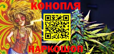 МДПВ Гагарин