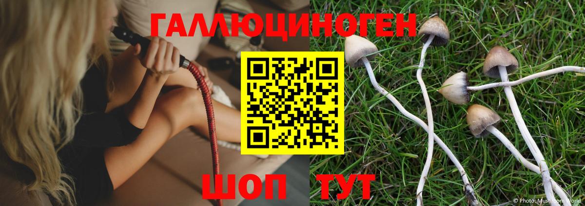 Псилоцибиновые грибы ЛСД  Вход с VPN  Карпинск  Галлюциногенные грибы Magic Shrooms 
